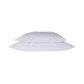 Cocoon Pillow Inners Set of 2 in Pure