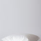 Duck Feather Cushion Inners Set of 2